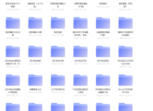 各种资料模板大全-X黑手网