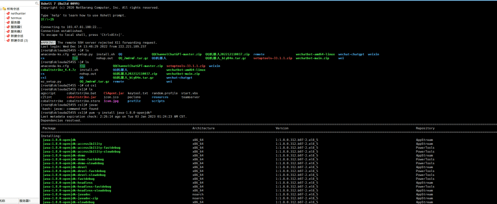 在服务器上面安装Cs 实现外网Shell-X黑手网