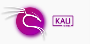 新版Kali安装与介绍—2023.3可选Kali Purple，新增蓝队专用工具-X黑手网