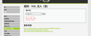 Web渗透_SQL盲注-X黑手网
