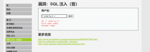 Web渗透_SQL盲注-X黑手网