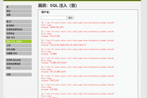 Web渗透_SQL盲注-X黑手网