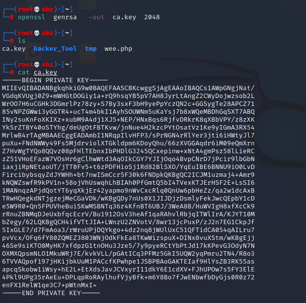 SSL\TLS中间人攻击-Kali Linux社区-电脑端-X黑手网