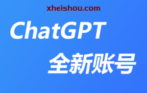 【全自动发货】全新注册chatgpt个人独享账号【自建邮箱】-X黑手网