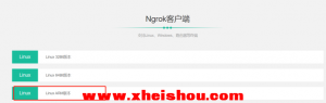 Kali nethnter之msf内网穿透渗透公网安卓设备-X黑手网