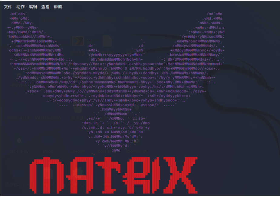 僵尸网络Matrix-botnet–DDoS脚本 章1-X黑手网