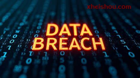 泄露数据查询系统-X黑手网