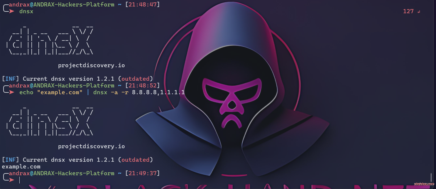 andrax-dnsX工具使用教程 – 高性能DNS信息收集利器-ANDRAX社区-移动端-X黑手网